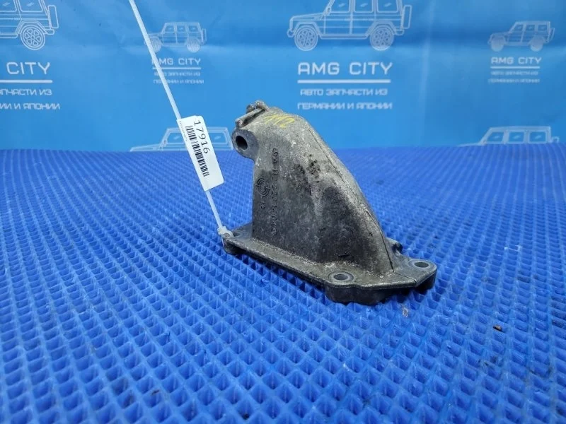 Кронштейн двигателя Mercedes-Benz M-class W163