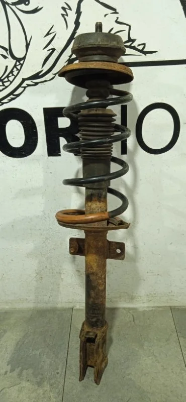 Амортизатор подвески Renault Duster 2010-2020 8200811407, задний левый