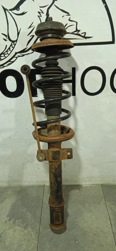 Амортизатор подвески Renault Duster 2010-2020 8200811407, передний