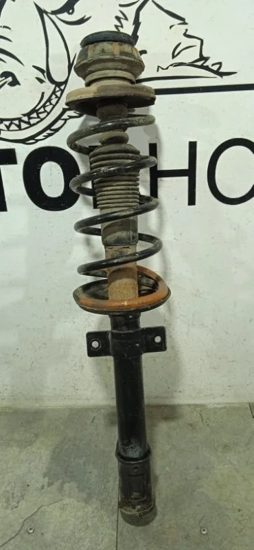 Стойка подвески Renault Duster 2018 8200811407 H4M 430, задняя