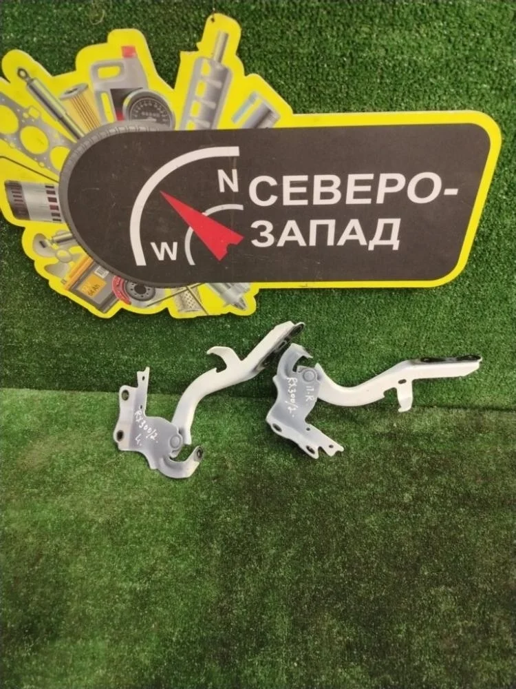 Петля капота Lexus Rx300 2022 5342048150 AGL25L 8ARFTS, левая