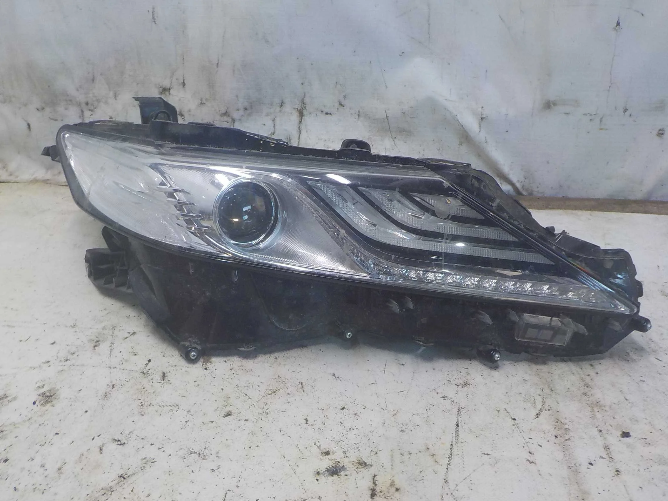 Фара Toyota Camry XV70 (2017—2021)  Право