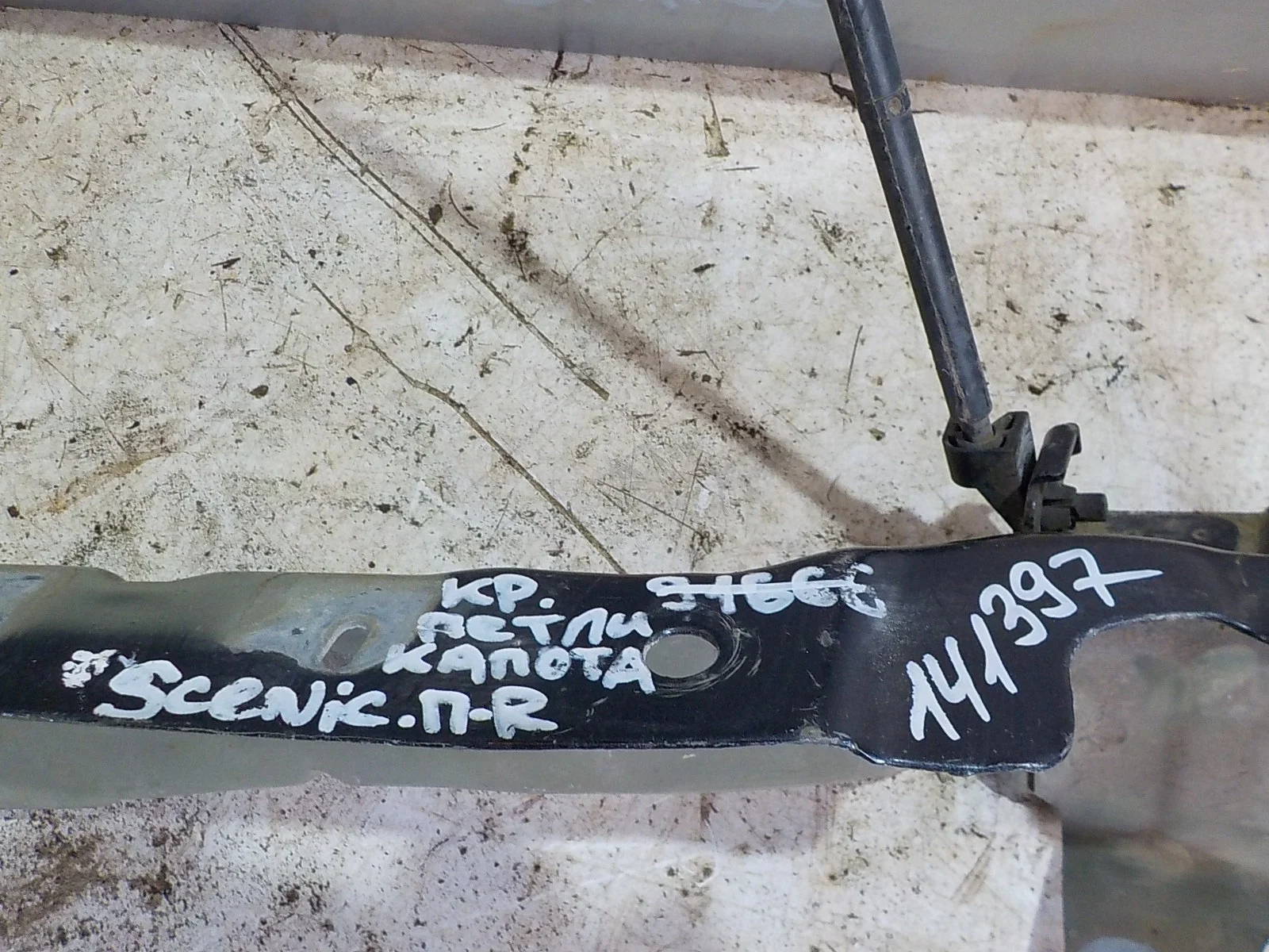 Петля капота Renault Scenic II (2003—2006) Перед Право