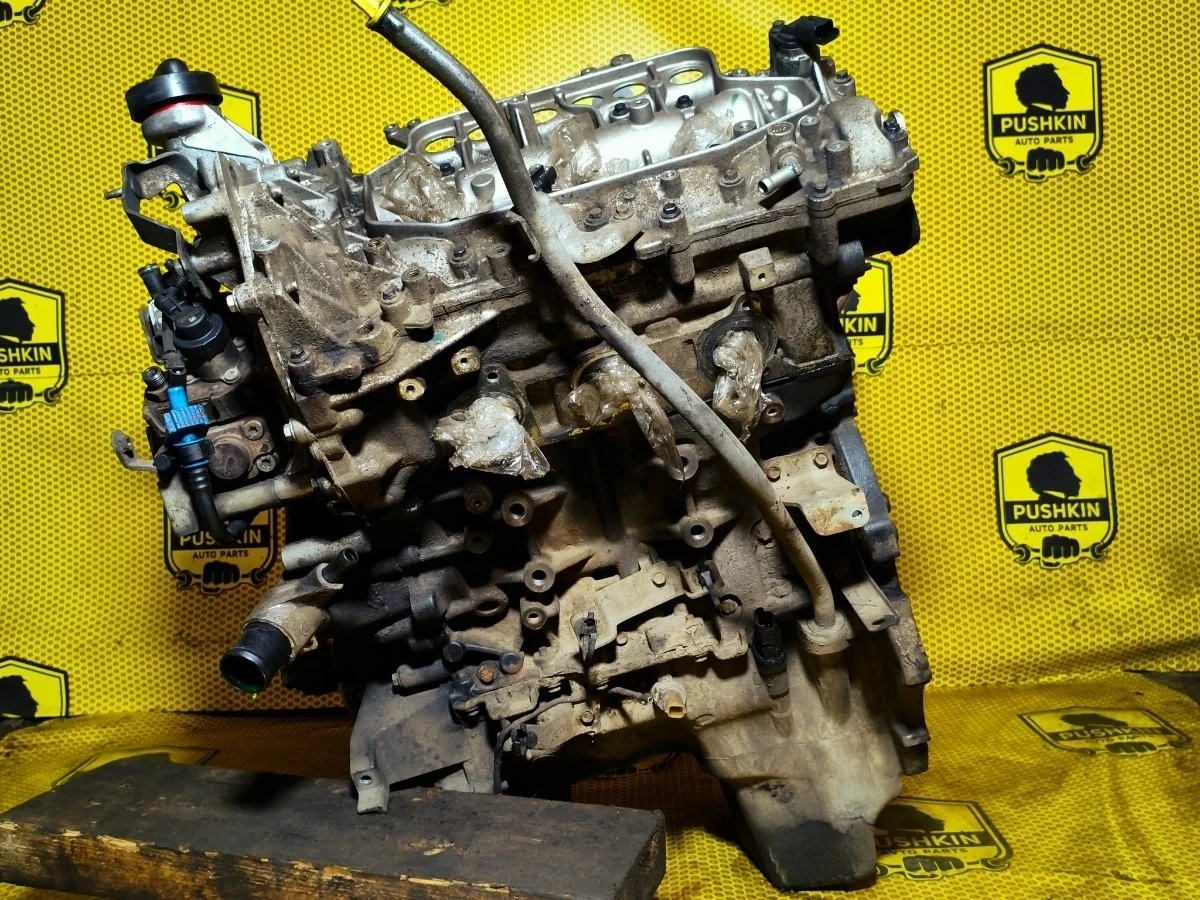 Двигатель Nissan Pathfinder 2011 1010200Q3P R51 V9X