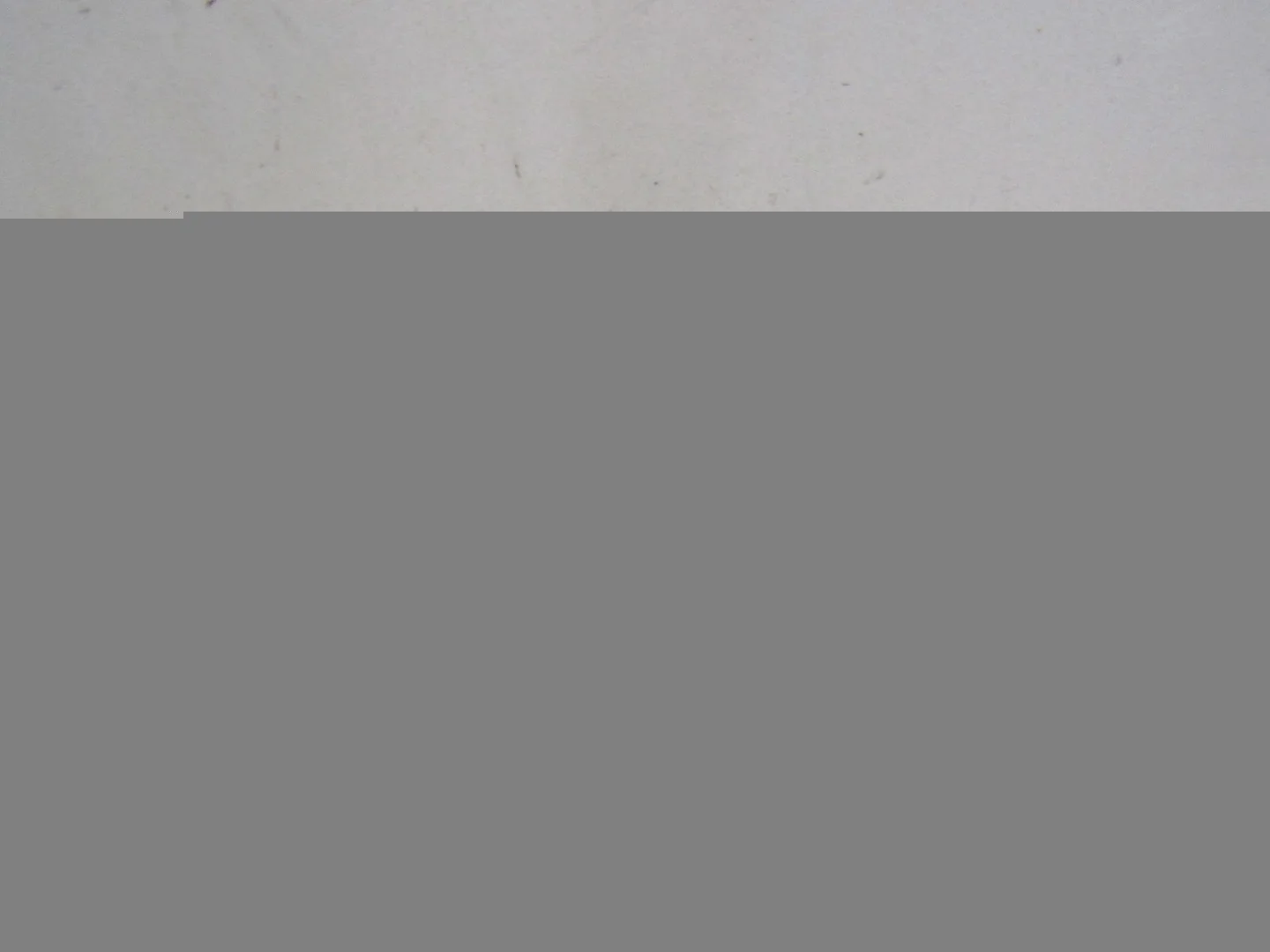 Катушка зажигания Toyota Camry CV3 2001-2006  [9091902234]  3.0 1MZFE в Вологде