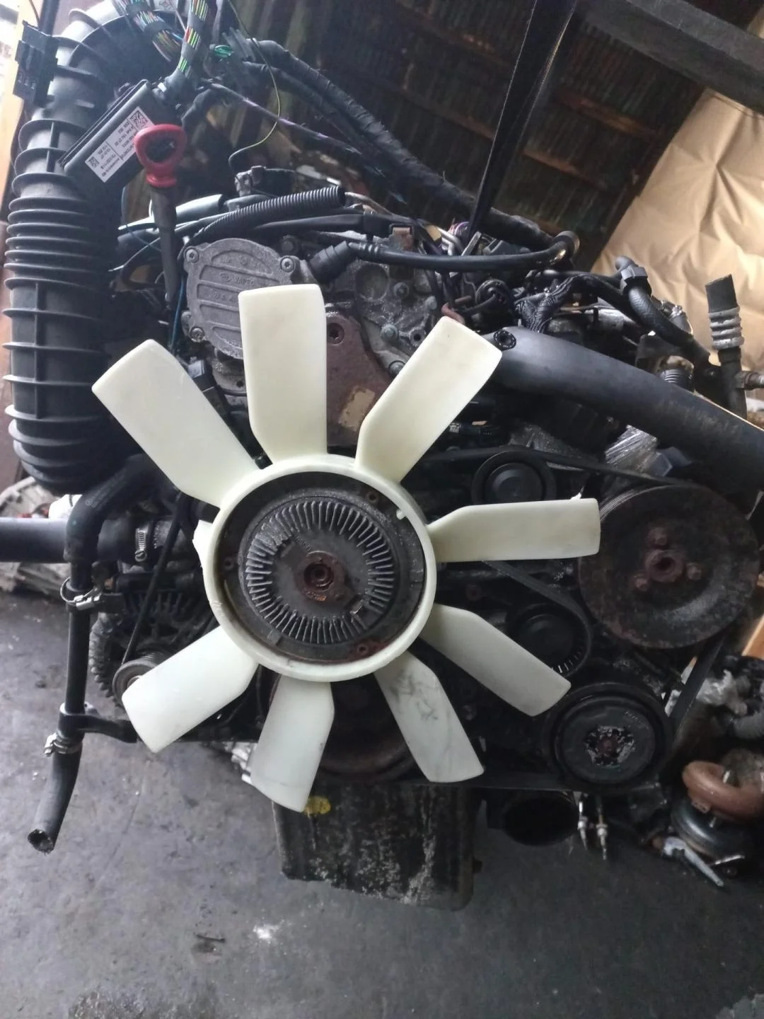 Двигатель 646980 Mercedes-Benz Vito W639 0.0 0