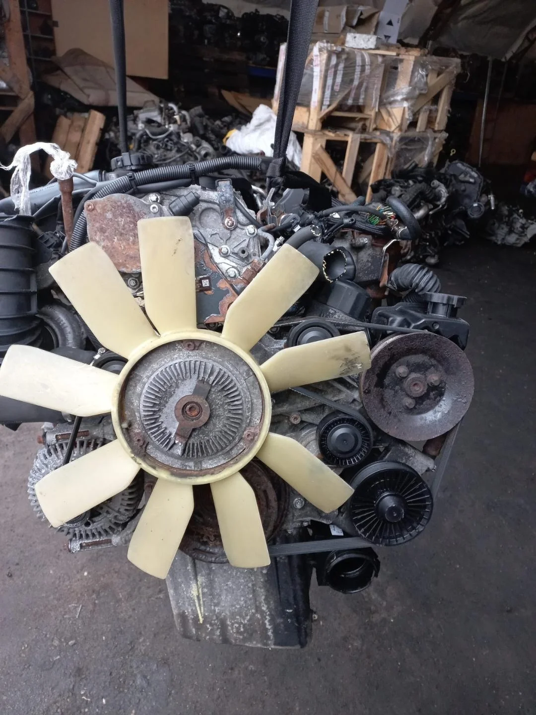 Двигатель 646980 Mercedes-Benz Vito W639 0.0 0