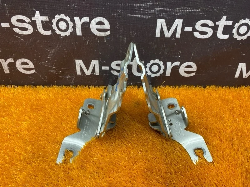 Петля капота Bmw X3 2012 7210730 F25 N55B30A