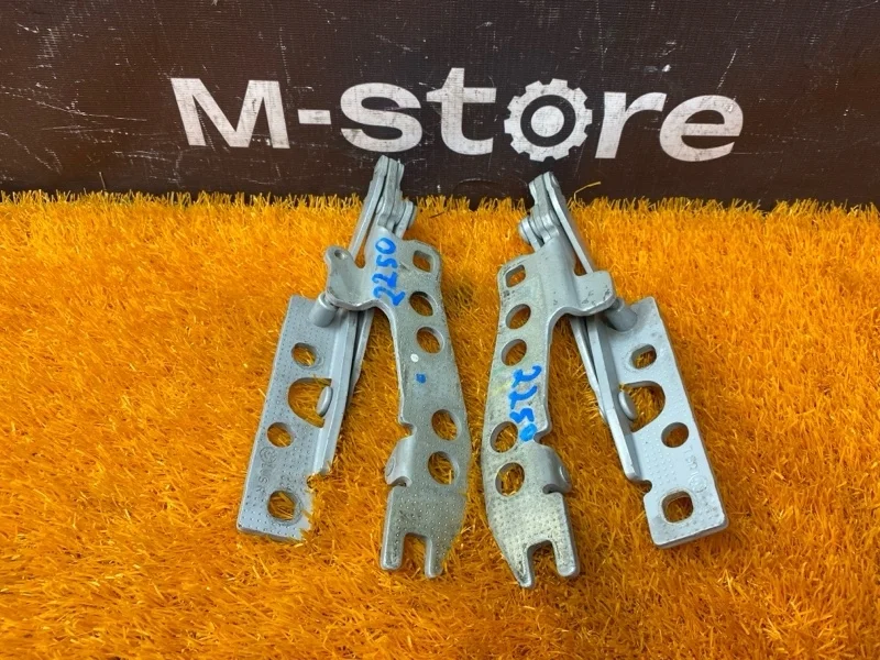 Петля капота Bmw 5-Series 1997 41618203276 E39 M52B28 (286S1)