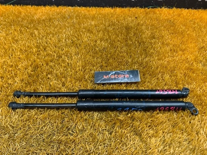 Амортизатор багажника Bmw 5-Series 1997 51248222913 E39 M52B28 (286S1)