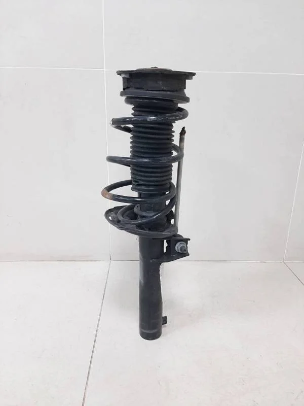 Амортизатор передний Volkswagen Tiguan 2017>