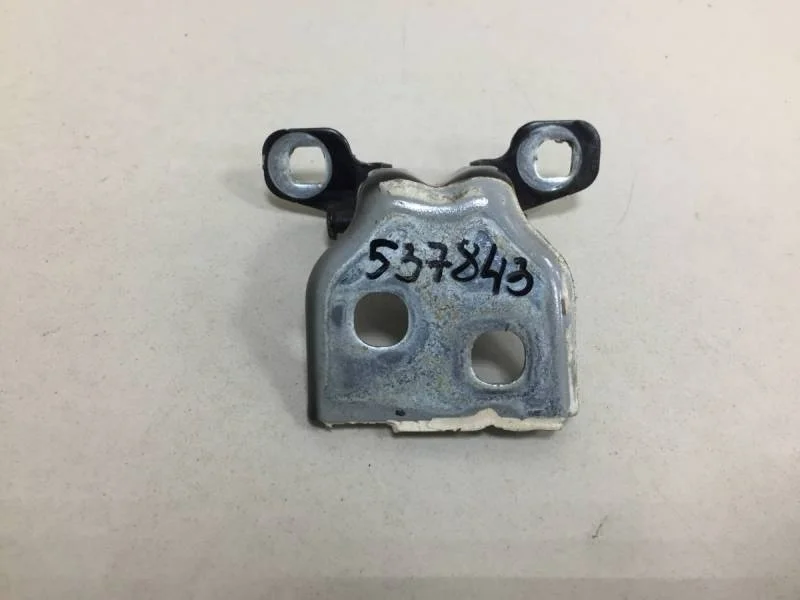 Петля двери Renault Duster 2012>