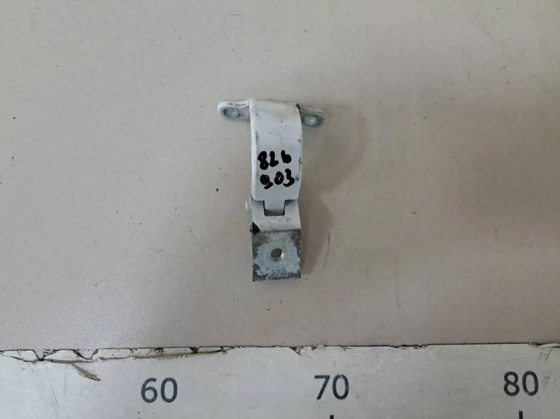 Петля двери багажника Skoda Octavia (A7) 2013>