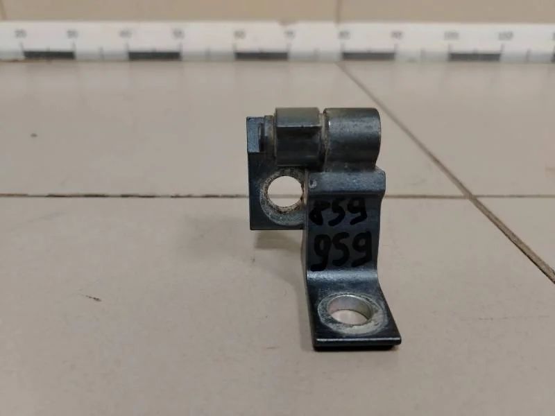 Петля двери задней левой нижняя Skoda Octavia (A7) 2013>