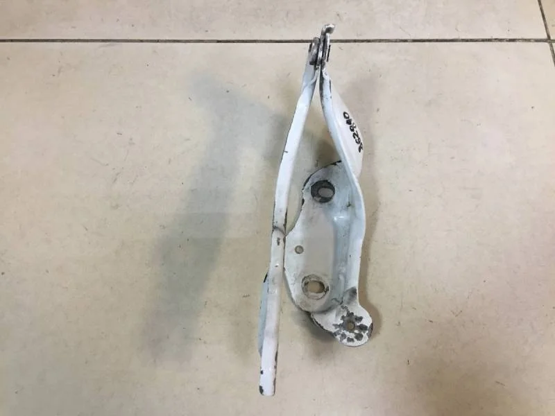 Петля капота левая Skoda Octavia (A7) 2013>