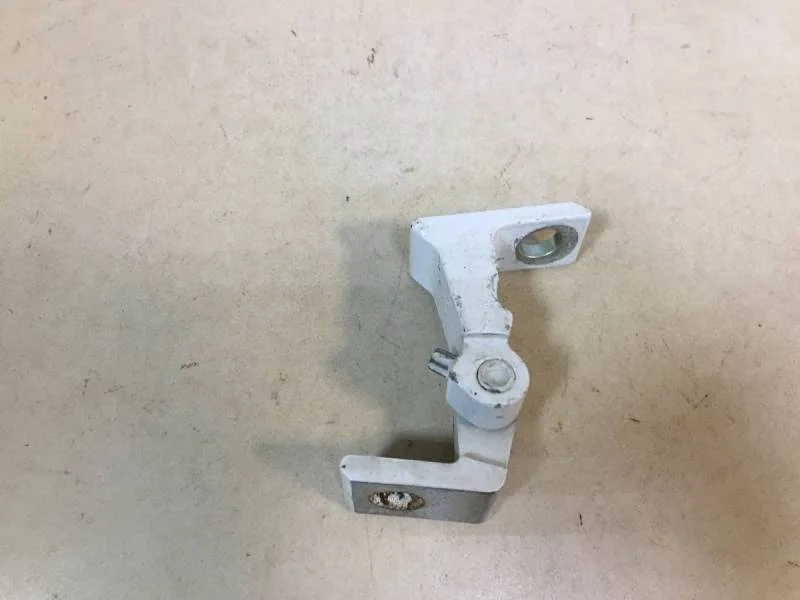 Петля двери задней левой нижняя Skoda Octavia (A7) 2013>