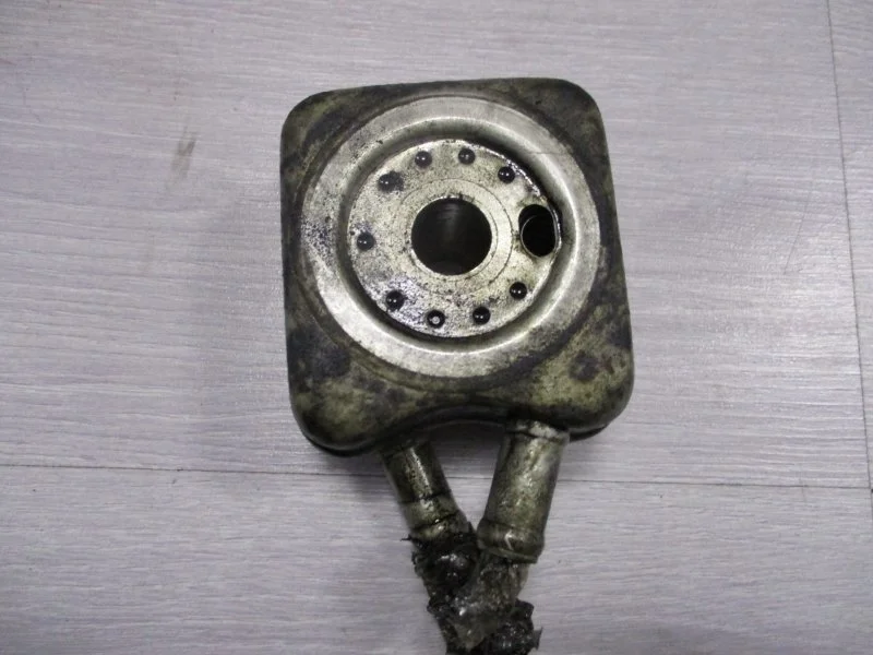 Радиатор масляный Volkswagen Caddy 2007 028117021L 1.9