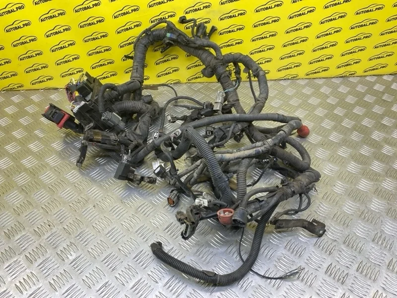 Проводка двигателя Nissan Pathfinder (R51M) 2004-2013 2010 24382EB301