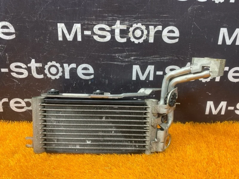 Радиатор масляный Bmw 3-Series 2007 17227521376 E92 N54B30A