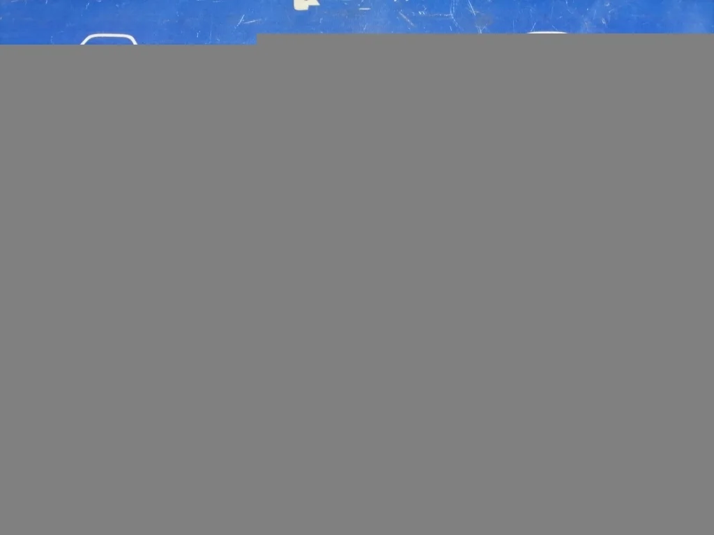 рычаг CITROEN C4 B7 -