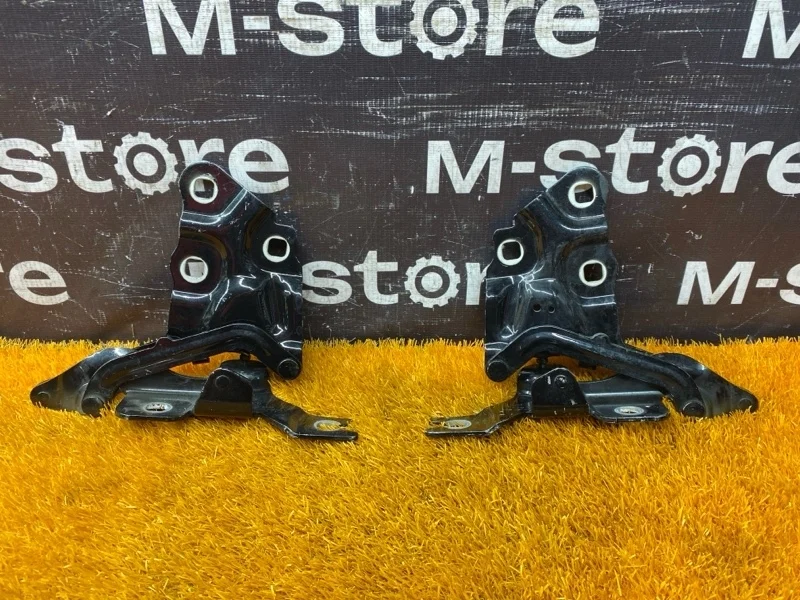 Петля капота Bmw X3 2012 7210730 F25 N20B20A