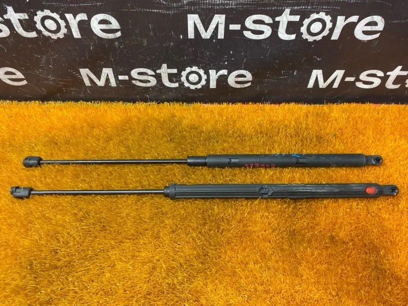 Амортизатор капота Mercedes-Benz Clk-Class 2004 A2038800029 W209 112.955