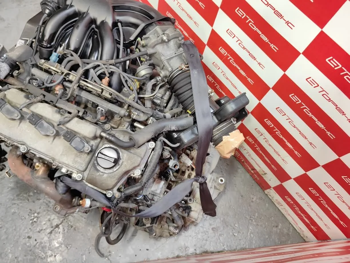 Двигатель TOYOTA ALPHARD 1MZ-FE MCR30W T54095643