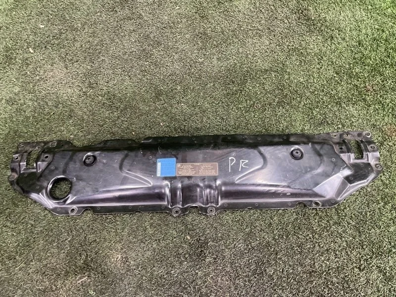 Планка радиатора BMW 5 2008 E60