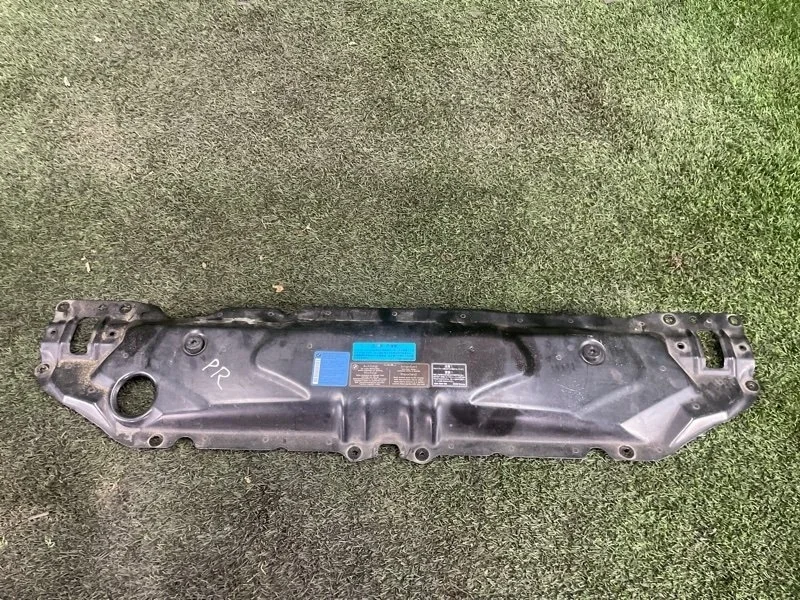 Планка радиатора BMW 5 2008 E60