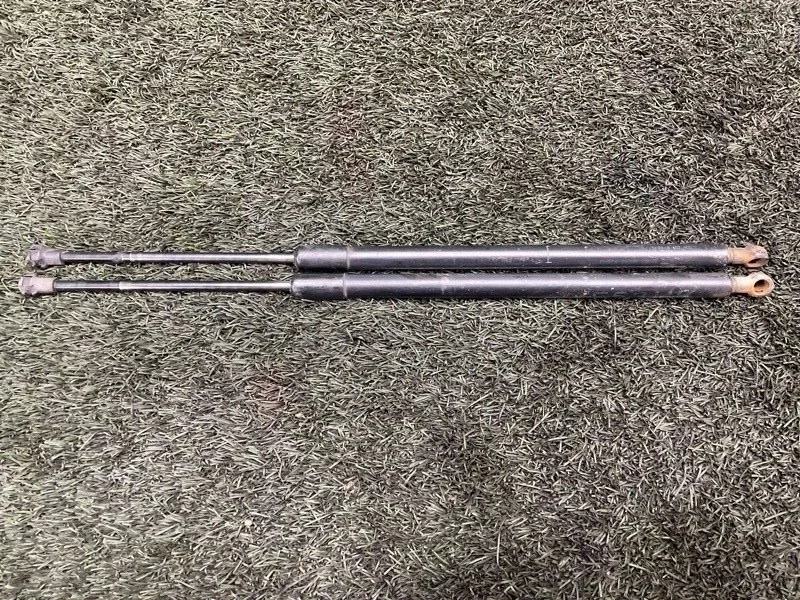 Амортизатор двери багажника BMW X5 2005 E53