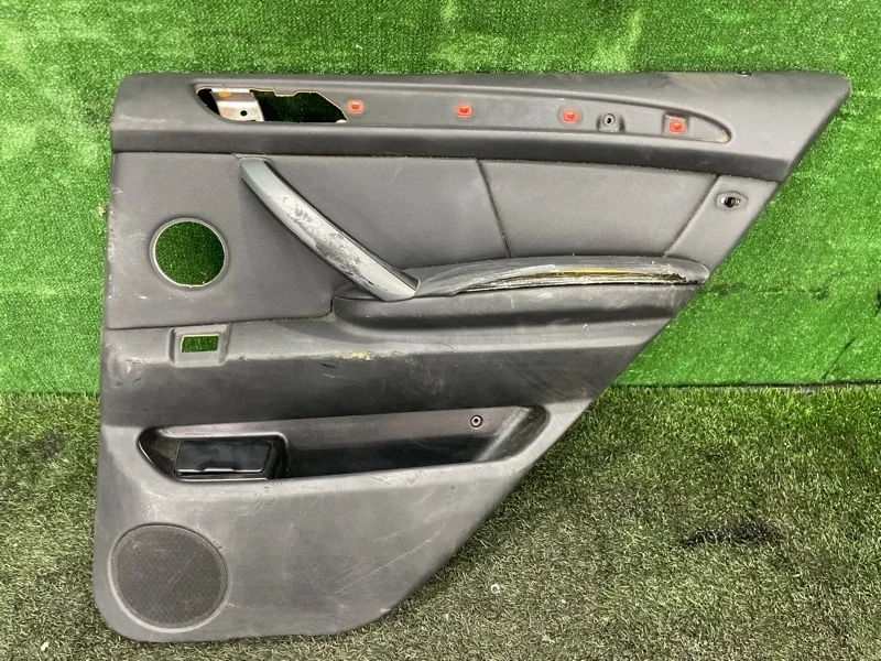 Обшивка боковой двери BMW X5 2003 E53