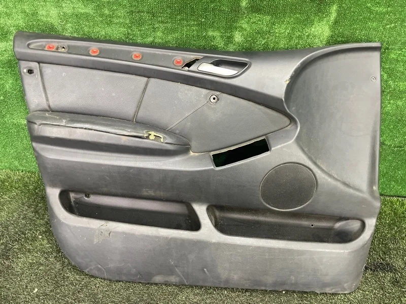 Обшивка боковой двери BMW X5 2003 E53