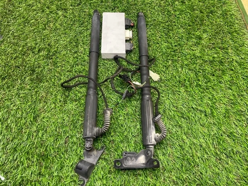 Амортизатор крышки багажника BMW X5 2012 e70