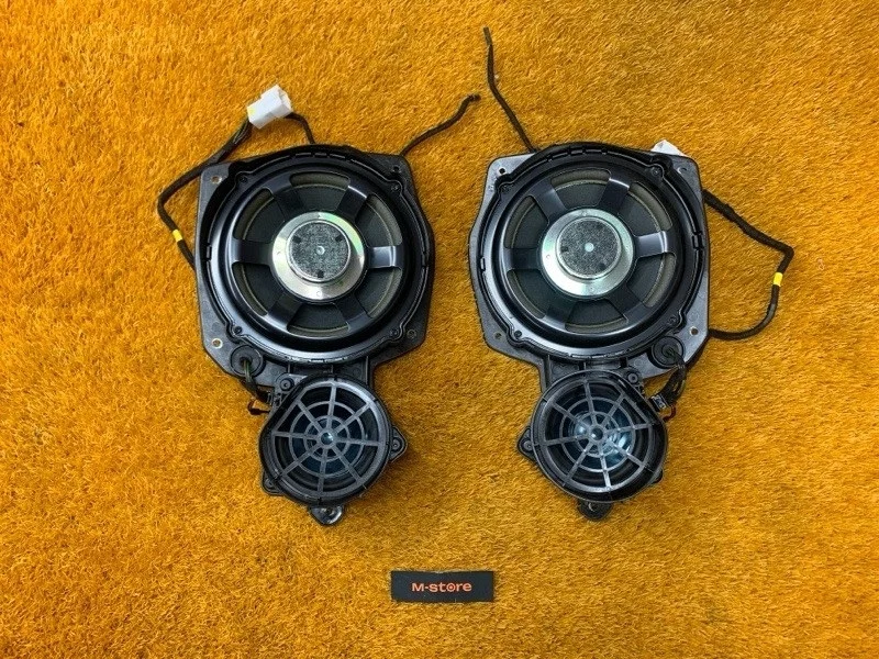 Динамик Mercedes-Benz S-Class 2008 A2218205902 W221 273.961, передний