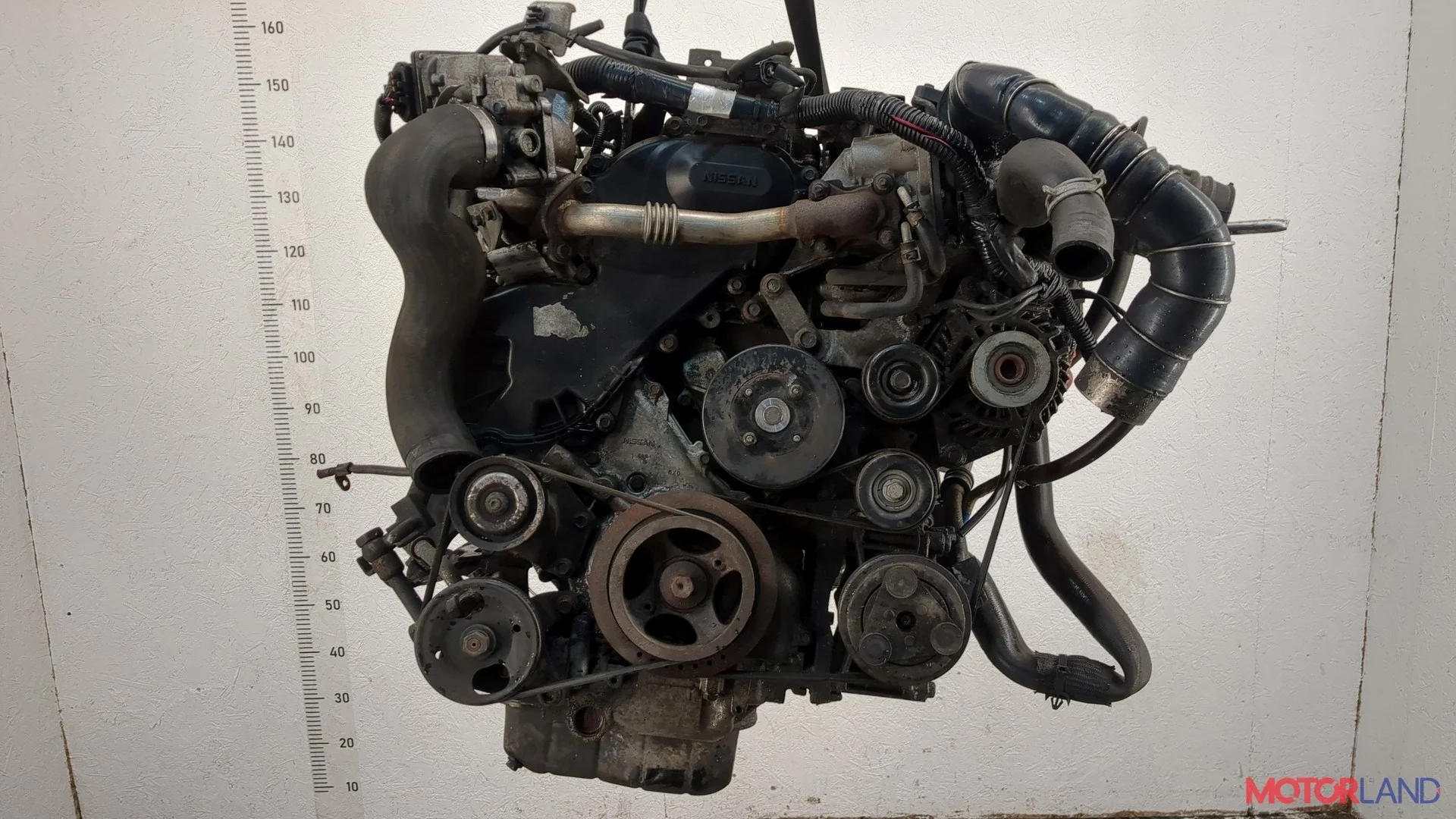 Двигатель (ДВС) Nissan Navara 2004-2015 КПП 6-ст.мех 4х4 (МКПП) YD25DDTI Дизель 2.5 л DCI