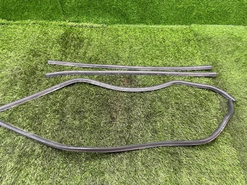 Уплотнительная резинка боковой двери BMW X5 2005 E53