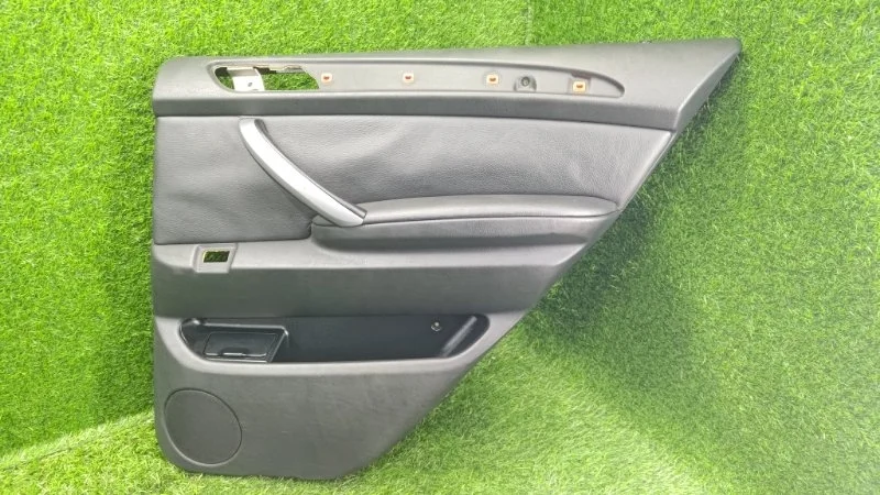 Обшивка боковой двери BMW X5 2006 E53