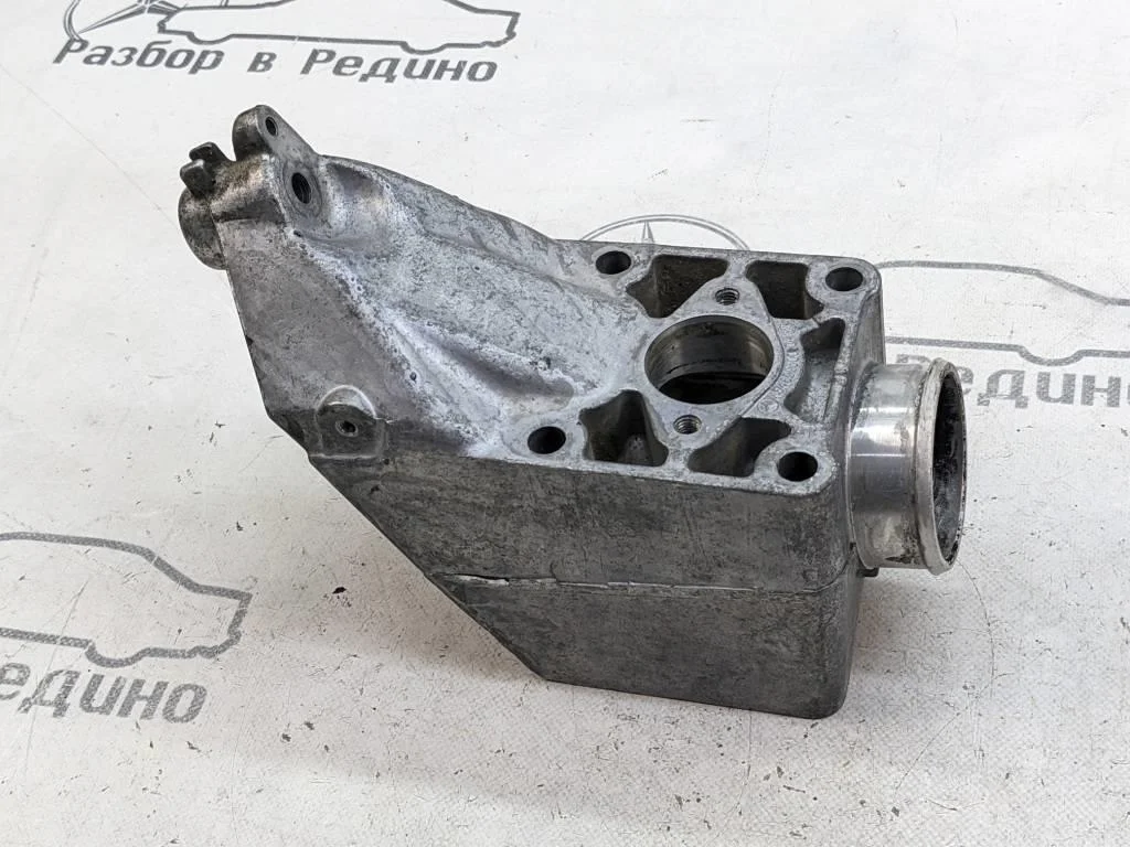 Лапа левая Mercedes-Benz