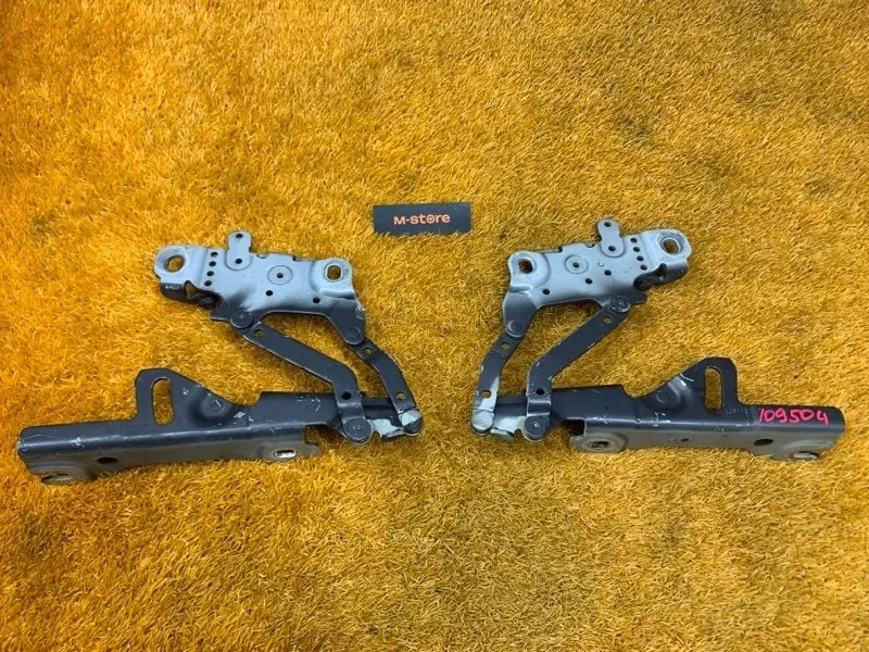 Петля капота Bmw 3-Series 2013 7336700 F30 N47D20C