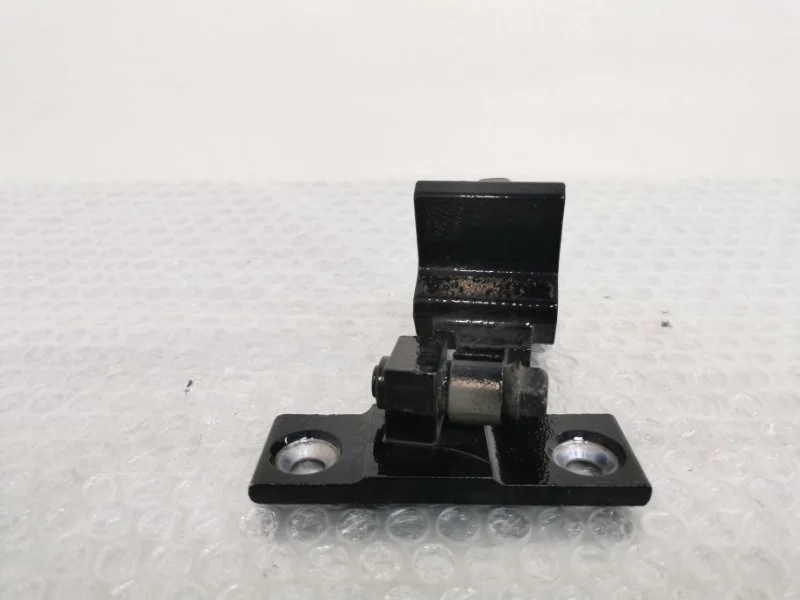 Петля двери Bmw X5 2011 41527200243 E70 N55B30, задняя левая