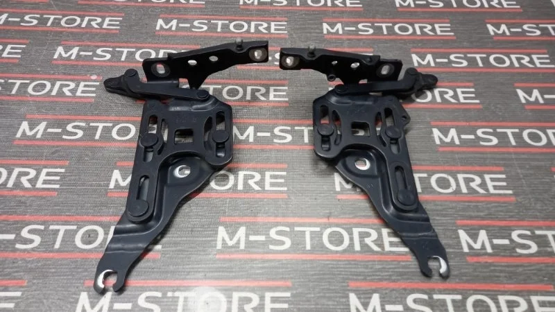 Петля капота Bmw X5 2007 7148347 E70 N62B48B