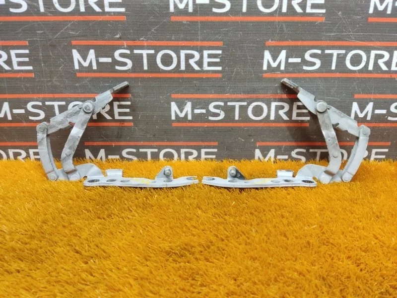 Петля капота Bmw X5 2001 8402174 E53 M54B30 (306S3)