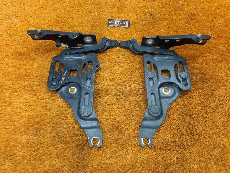 Петля капота Bmw X5 2007 7148347 E70 N52B30A