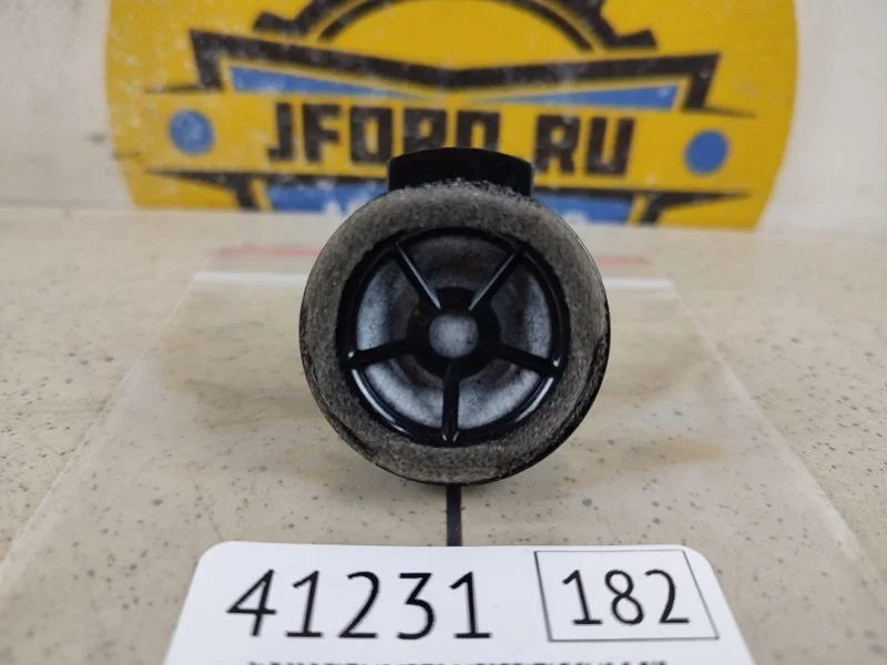 Динамик Lexus NX300 2019 Z10