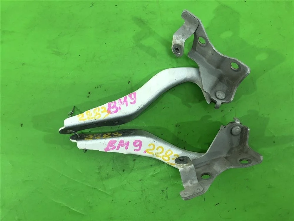 Петля капота FL (только парой)