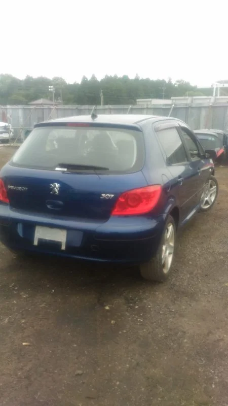 Продажа Peugeot 307 2.0 (143Hp) (EW10A) FWD AT по запчастям