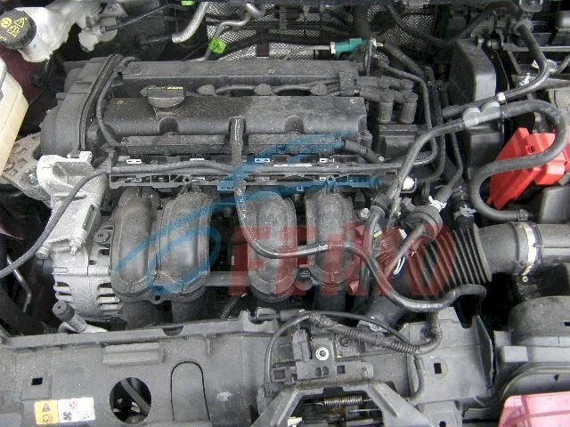 Продажа Ford Fiesta 1.4 (96Hp) (SPJC, SPJA) FWD AT по запчастям