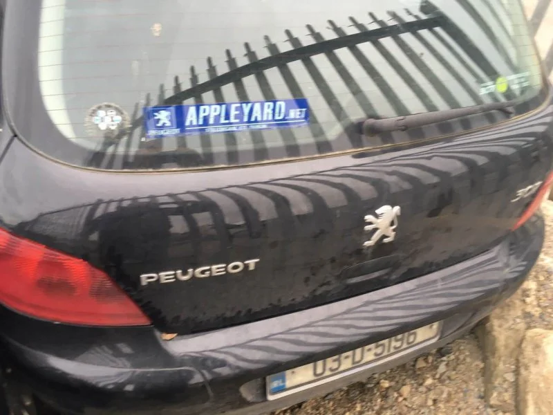Продажа Peugeot 307 1.6 (109Hp) (TU5) FWD MT по запчастям