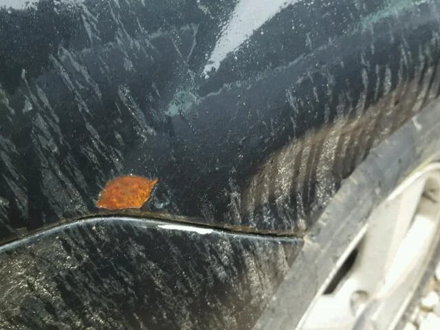 Продажа Ford Focus 1.6 (115Hp) (SIDA) FWD MT по запчастям