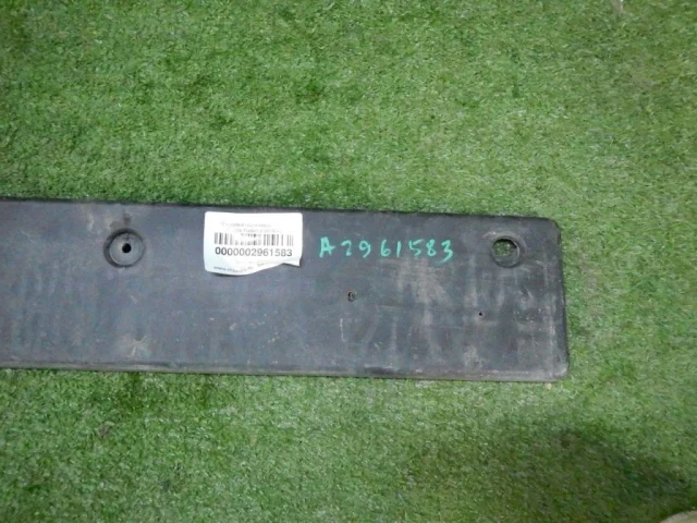 Накладка под номер для Hyundai Tucson TL rest 2018-2021 на фотографиях